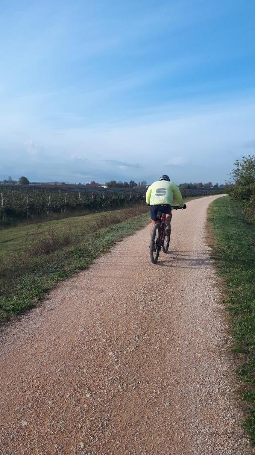 Sulla Ciclabile Apartment Lungo Il Fiume Adige Zevio Bagian luar foto