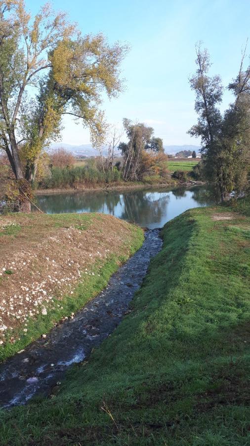 Sulla Ciclabile Apartment Lungo Il Fiume Adige Zevio Bagian luar foto