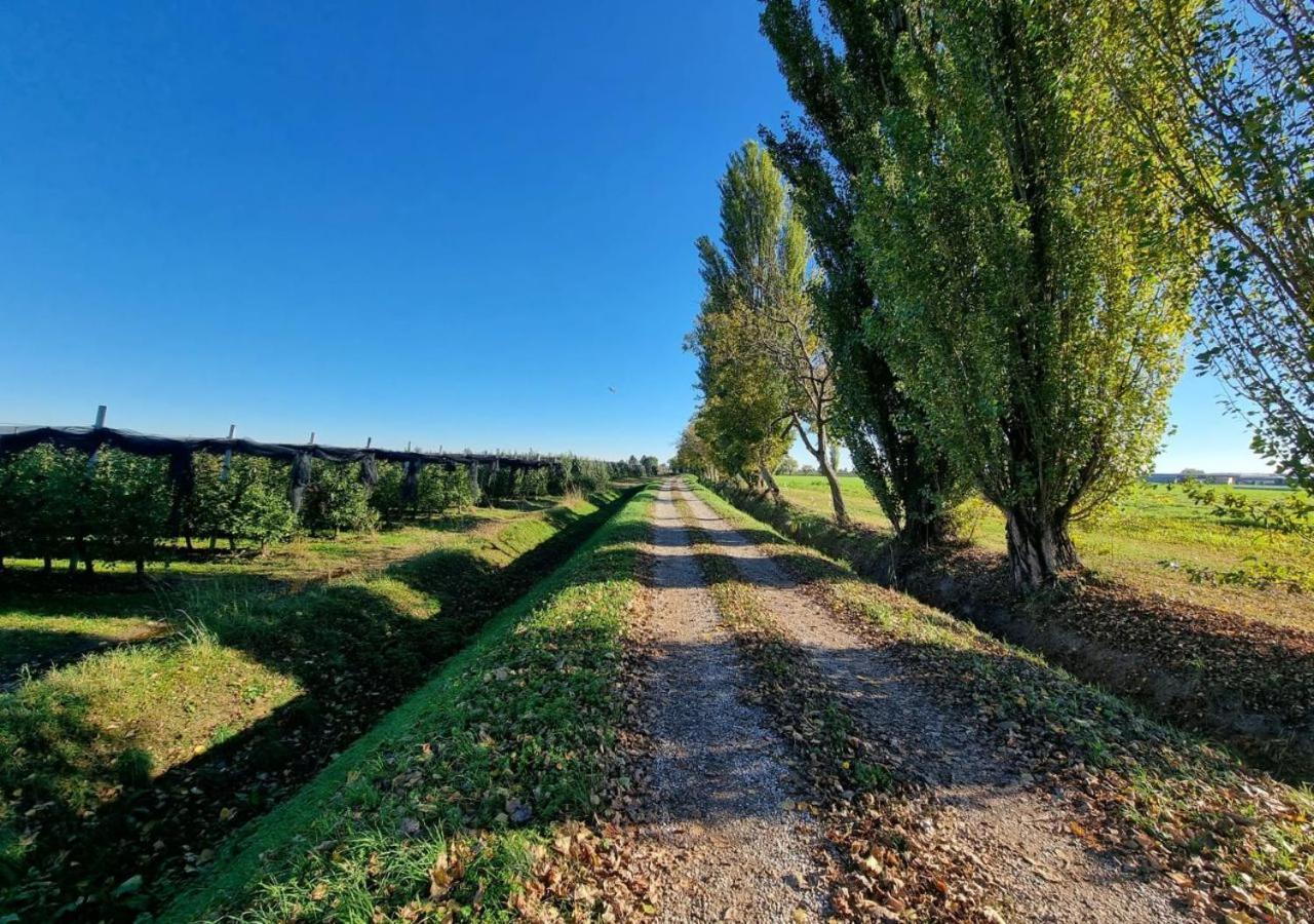 Sulla Ciclabile Apartment Lungo Il Fiume Adige Zevio Bagian luar foto