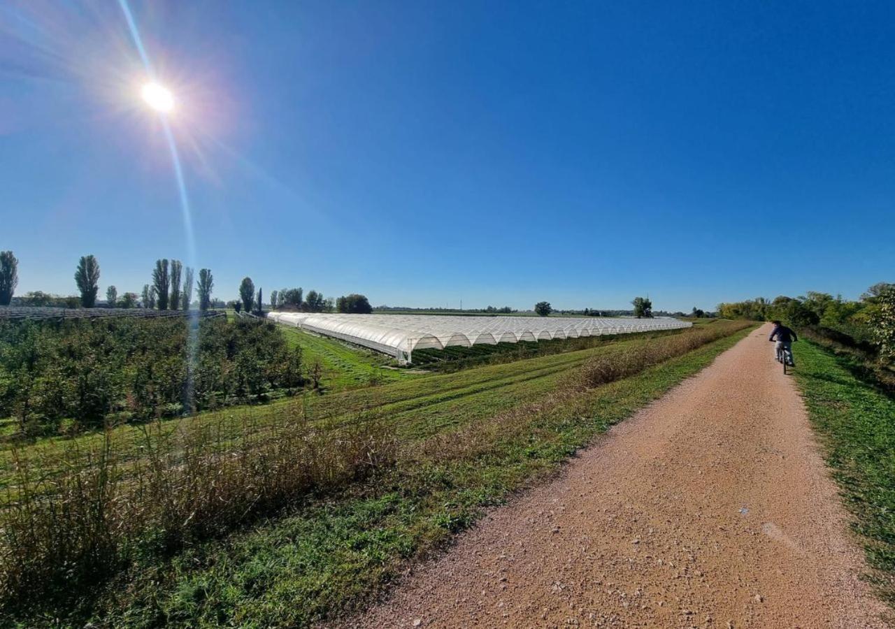 Sulla Ciclabile Apartment Lungo Il Fiume Adige Zevio Bagian luar foto