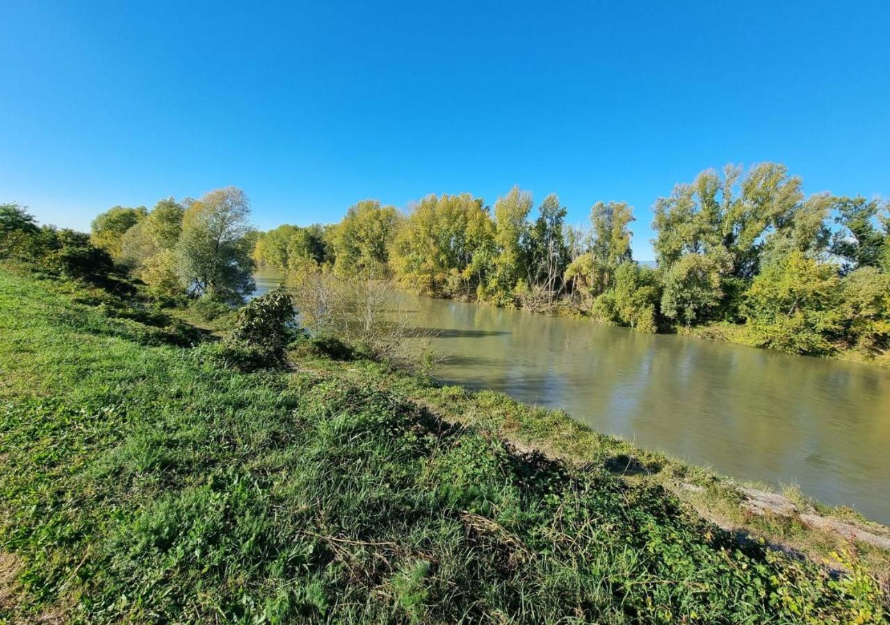 Sulla Ciclabile Apartment Lungo Il Fiume Adige Zevio Bagian luar foto