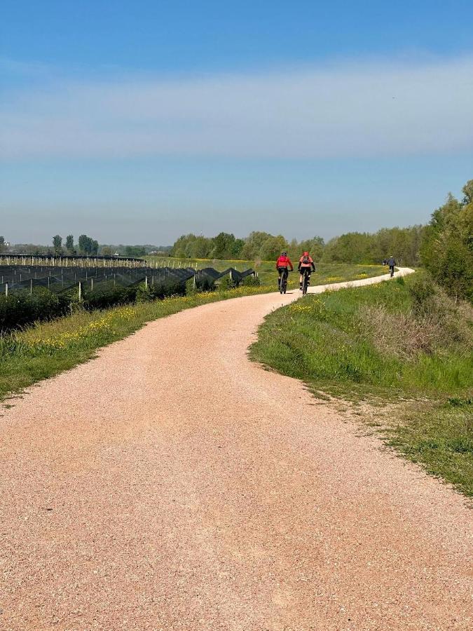 Sulla Ciclabile Apartment Lungo Il Fiume Adige Zevio Bagian luar foto