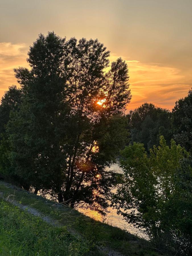 Sulla Ciclabile Apartment Lungo Il Fiume Adige Zevio Bagian luar foto